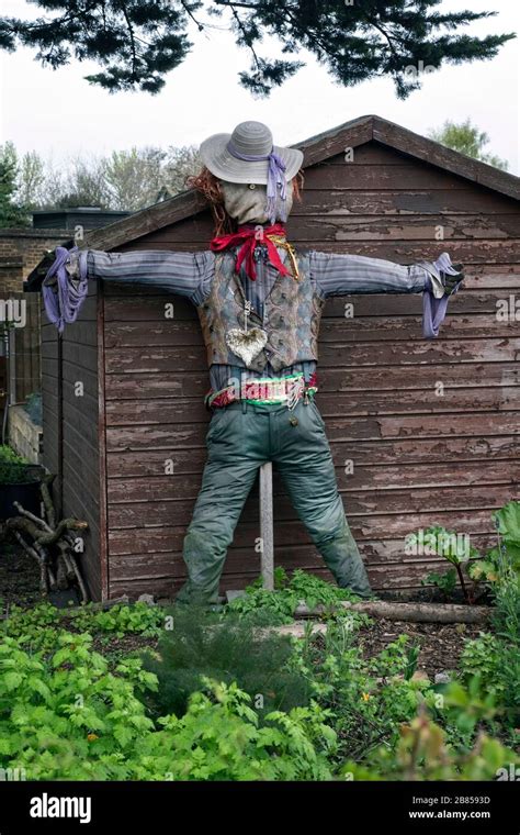 Scarecrow in a blooming spring field