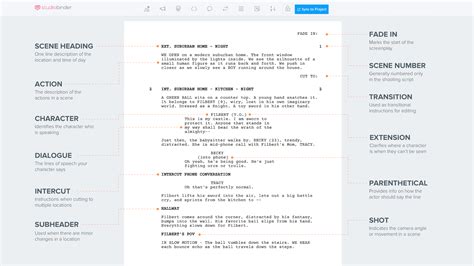 Screenplay Format