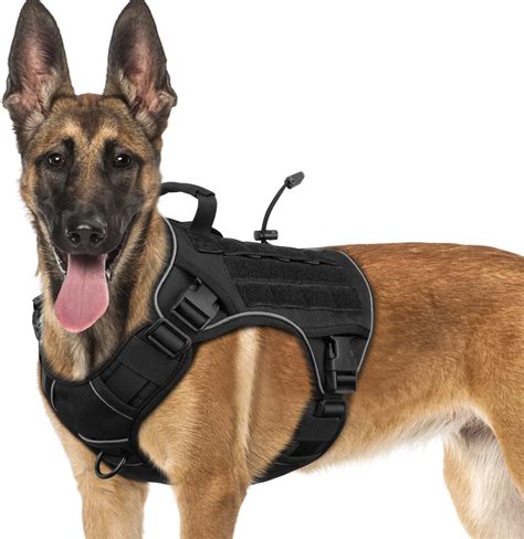 5 Tips for Selecting a Military Canine Harness