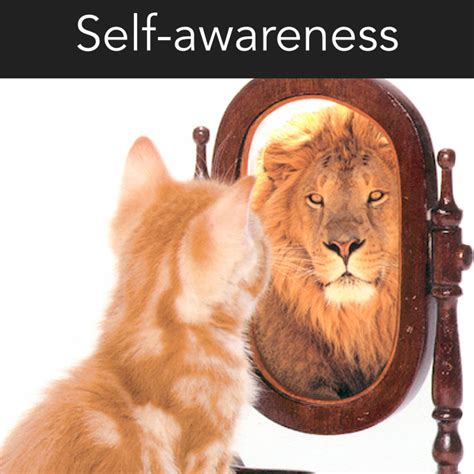 Self-Awareness Image