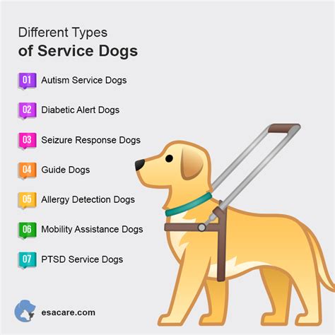 Service Animal Types