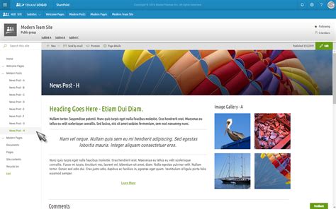 Example of a SharePoint Site Template