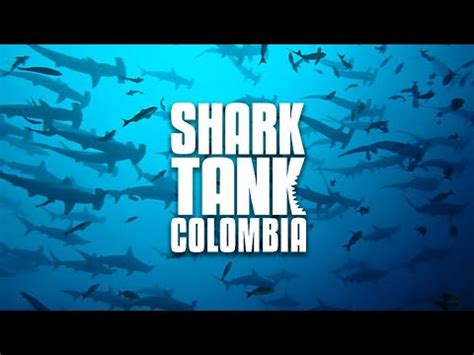 Shark Tank Marketing Strategies