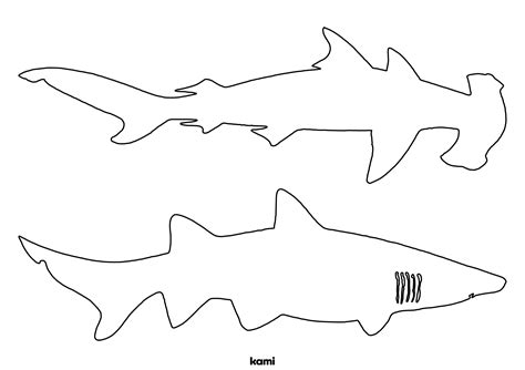 Shark Template Image 8