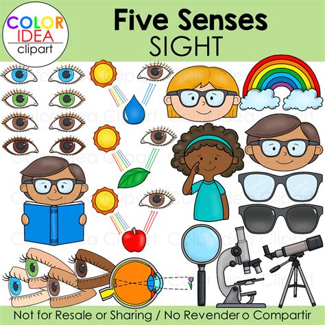 Sight Sense