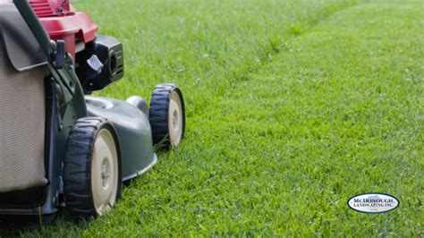 Simple Lawn Care Business Card Template