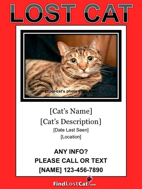 Simple Missing Cat Poster