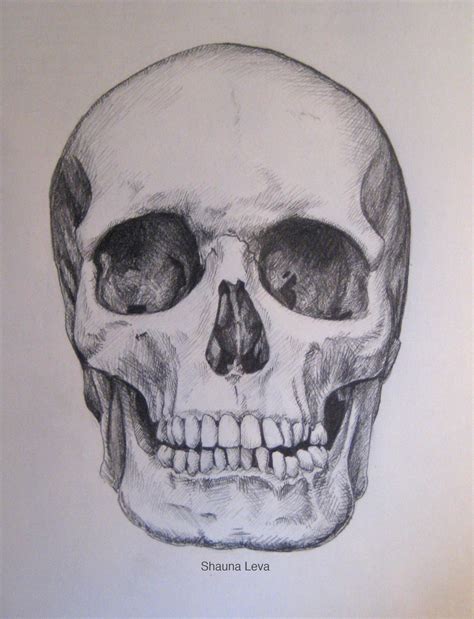 Description of Skull Art Community 10