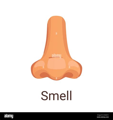 Smell Sense