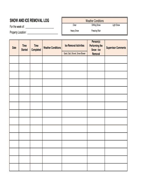 Description of Snow Removal Log Sample