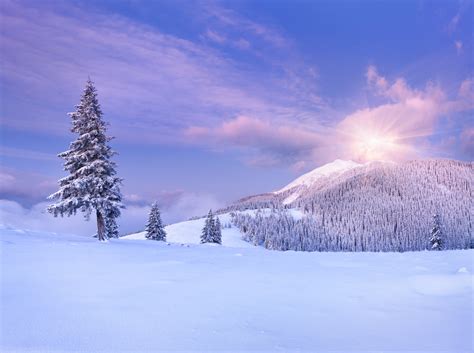 Snowy landscapes