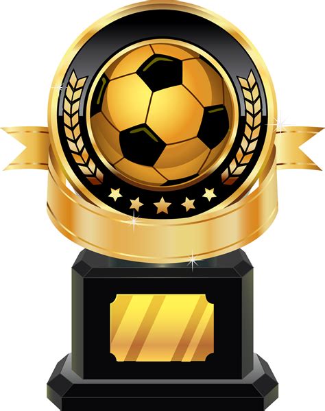 Description of Soccer Medal Awards