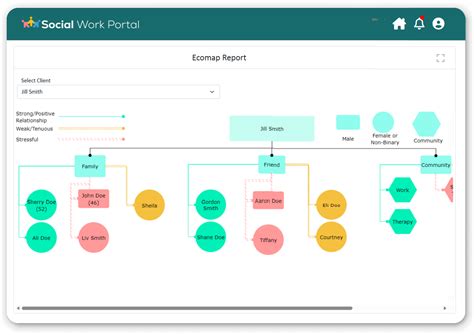 Social Work Ecomap Software