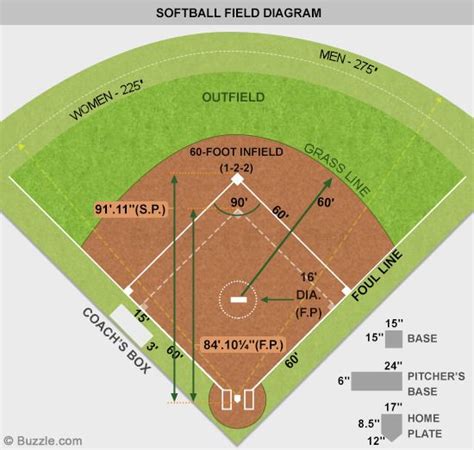 Softball Field Diagram