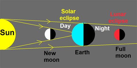 Solar Eclipse Viewing