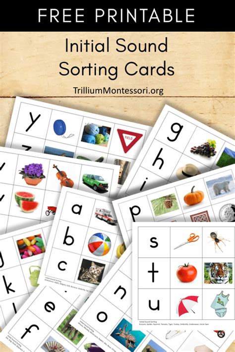 Sound Sorting Printables