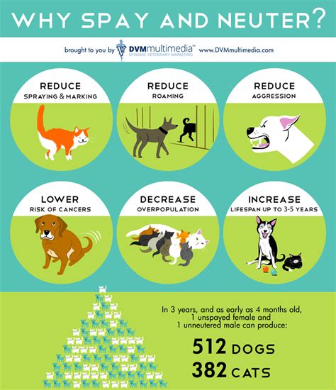 Spay Neuter Benefits