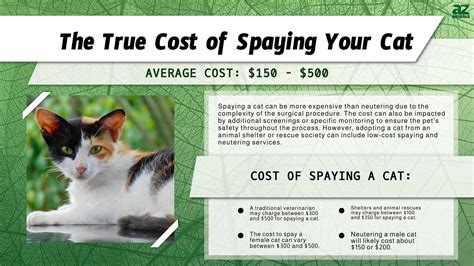 Spay Neuter Cost