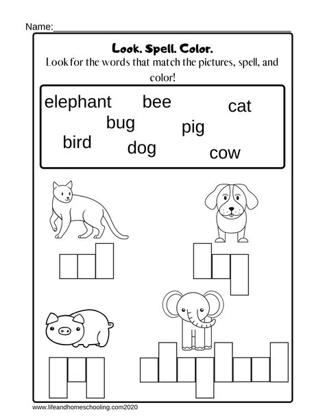 Spelling Worksheets for Kids