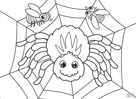 Spider coloring pages for children