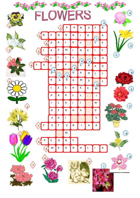 Spring Flower Crossword Puzzles