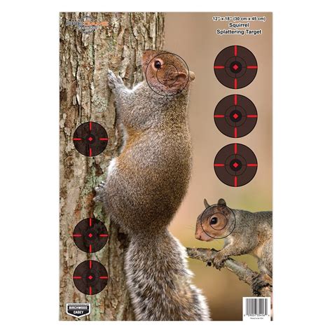 Printable Squirrel Target 3