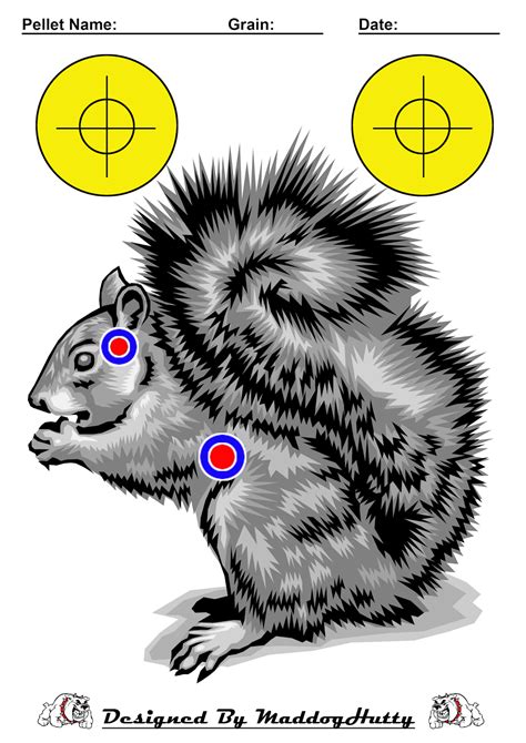 Printable Squirrel Target 5