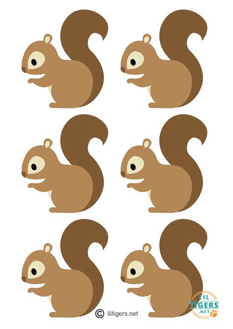 Types of Squirrel Templates