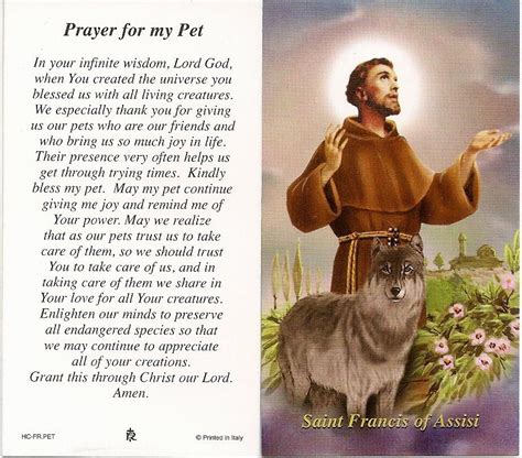 St Francis Prayer Image 9