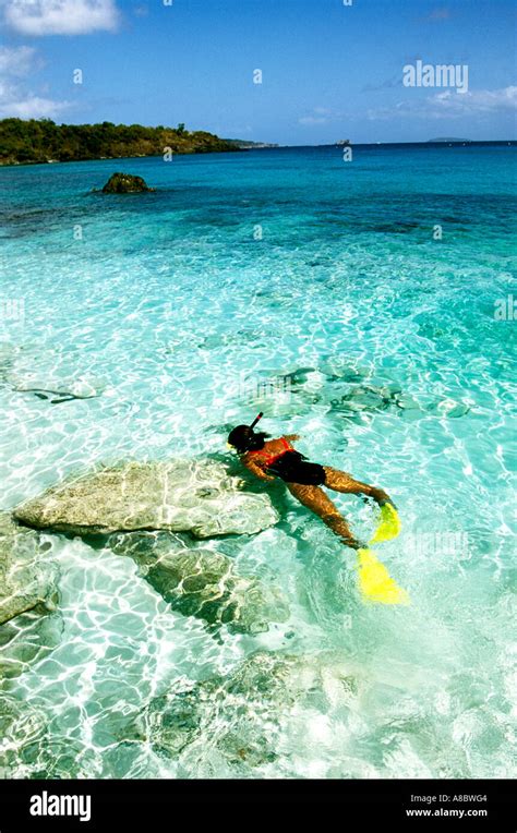 St John USVI Snorkeling