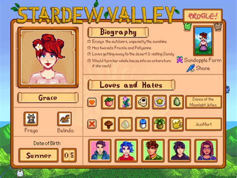 Stardew Valley Permaculture Templates