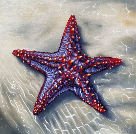 Starfish-inspired art