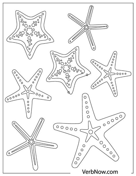 Starfish coloring pages with detailed drawings