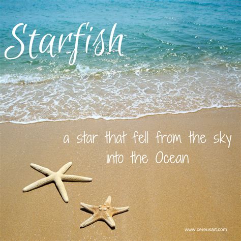 Inspirational quotes from the starfish story