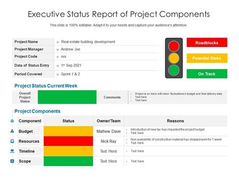 Components of a Status Report