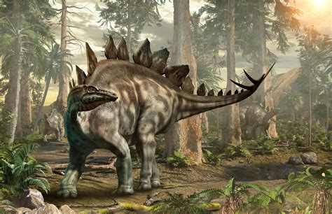 Stegosaurus, recognized by its row of back plates