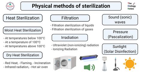 Sterilization Techniques