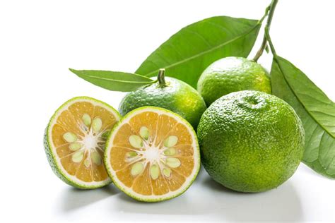 Sudachi Citrus Fruit