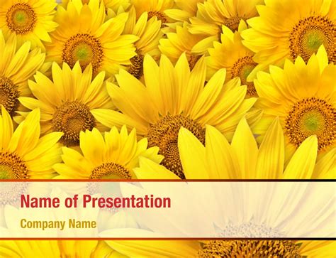 Sunflower field template for digital art and prints