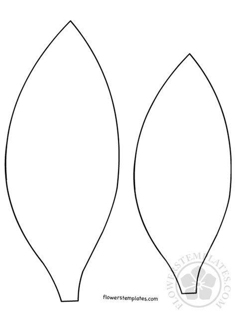 Description of Sunflower Petal Templates