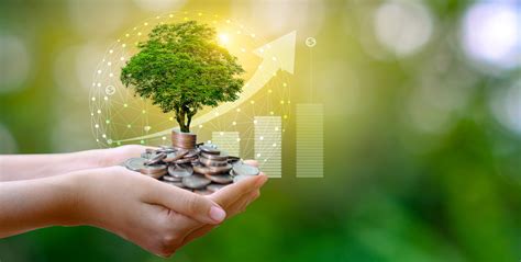 Sustainable Investing