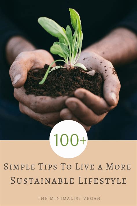 Sustainable Living Tips Description