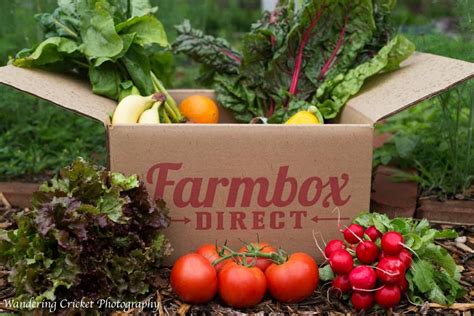 Sustainable Produce Delivery