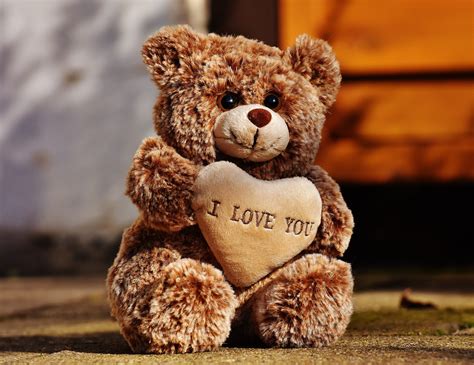 Teddy bear love