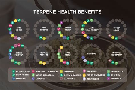 Description of Terpene Benefits