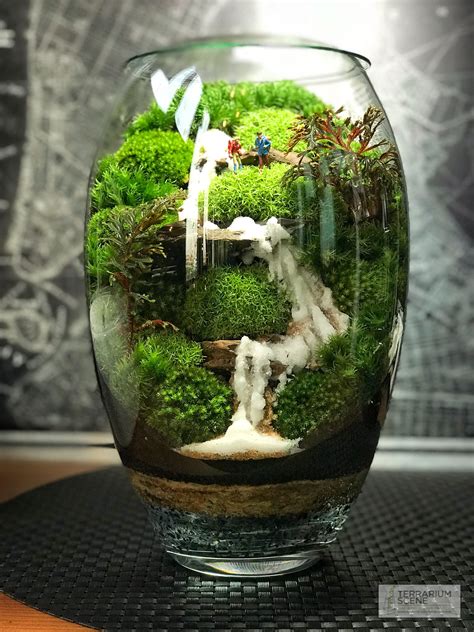 Terrarium Decoration Ideas