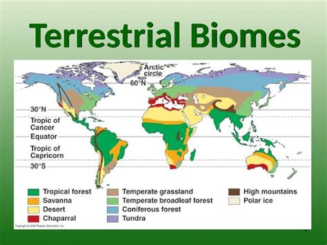 Terrestrial biomes