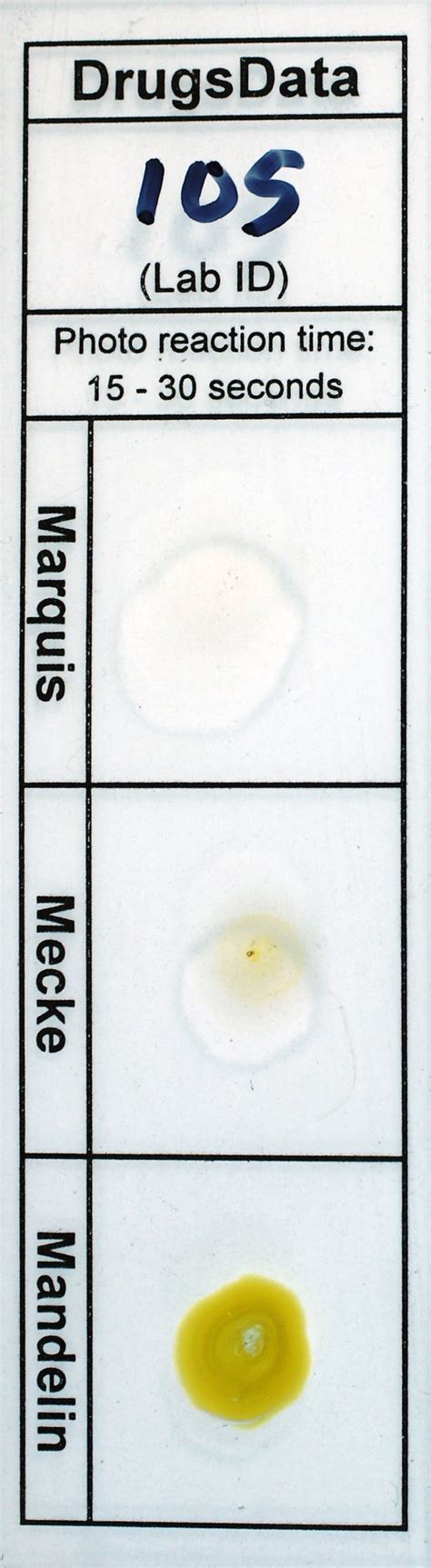 Test Results Template