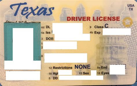 Texas ID Template Example 9