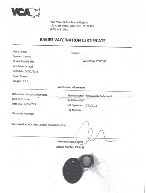 Texas Rabies Certificate Template 2